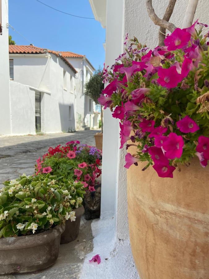 Raphael Skiathos Living-Olga Экстерьер фото